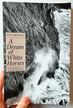 A Dream of White Horses by Edwin Drummond